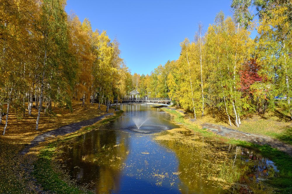 В городском парке