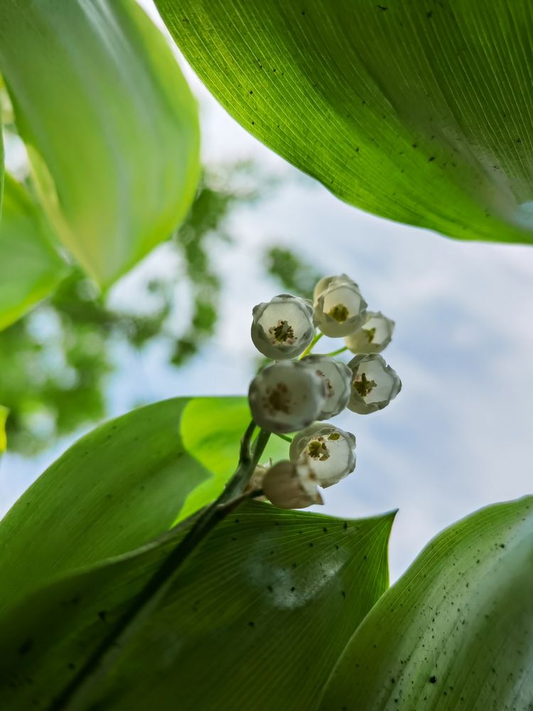 Photograph by Анна Петриенко