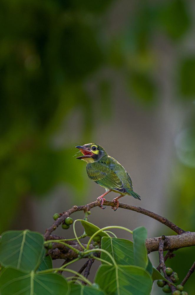 Photograph by Kshitij Patle