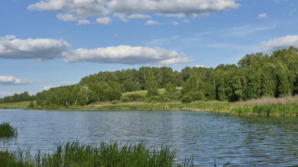 Фотография автора Лидия Филатова