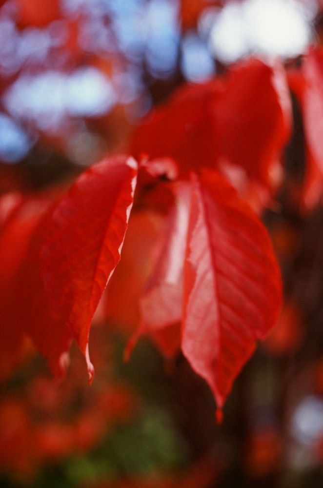 Photograph by Василий Селиванов