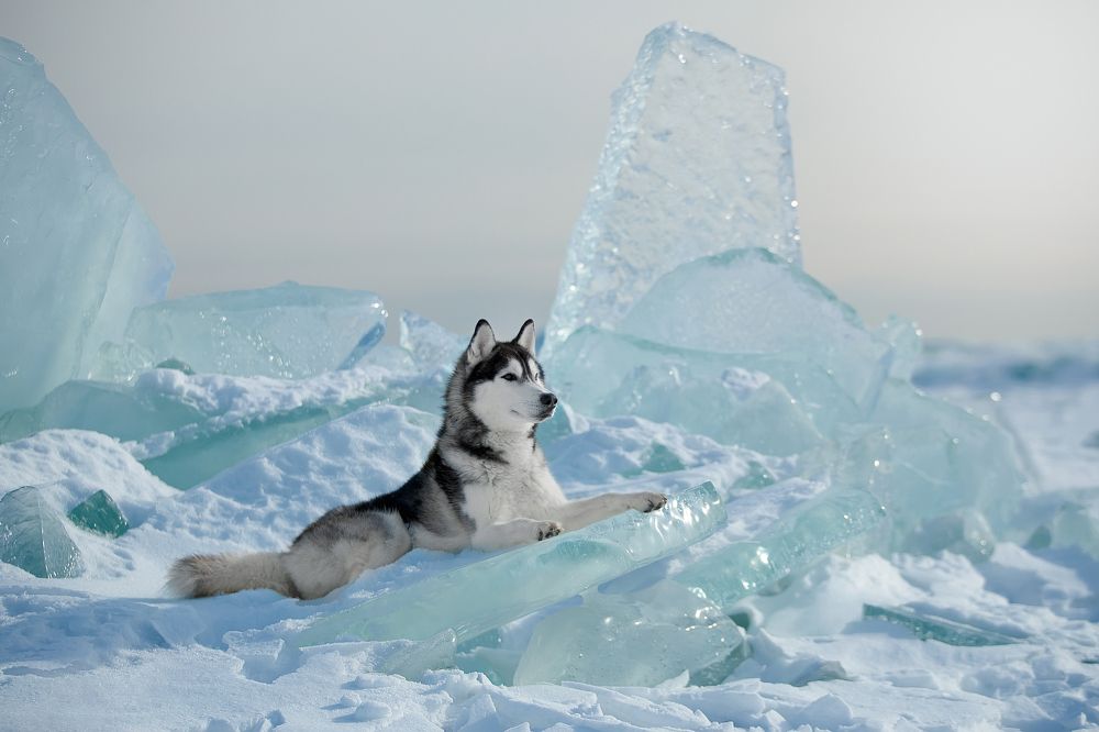 Photograph by Светлана Писарева