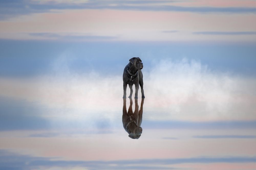 Photograph by Светлана Писарева