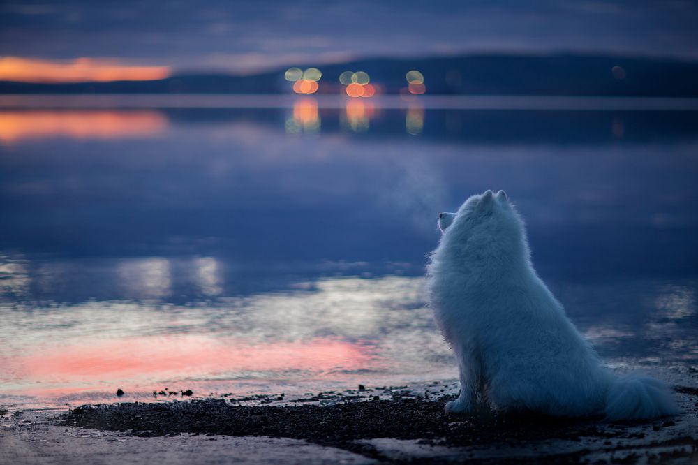 Photograph by Светлана Писарева