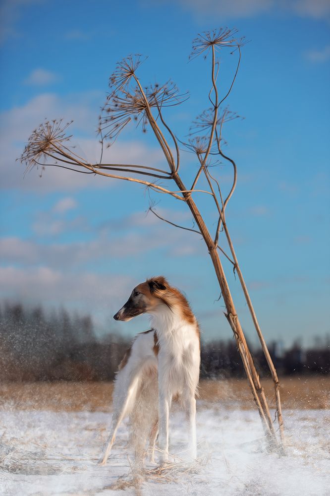 Photograph by Светлана Писарева