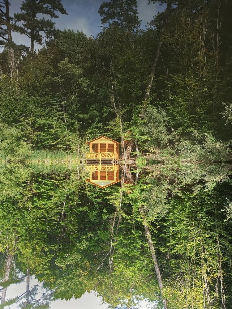 Photograph by Жигульский Сергей