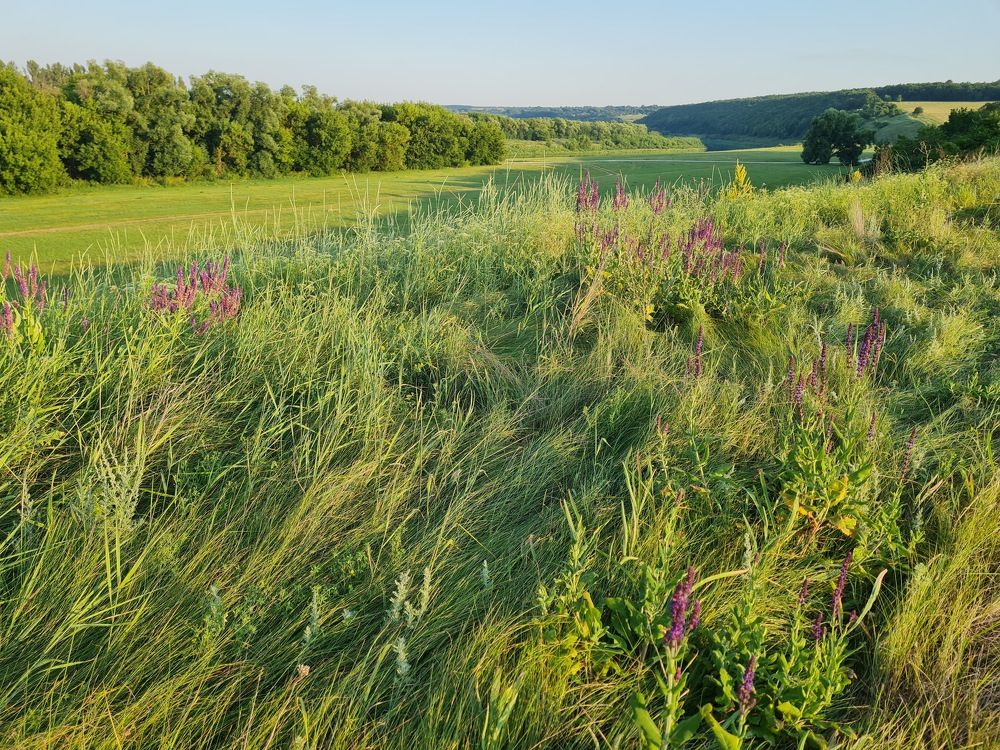 Photograph by Tatiana Denisova