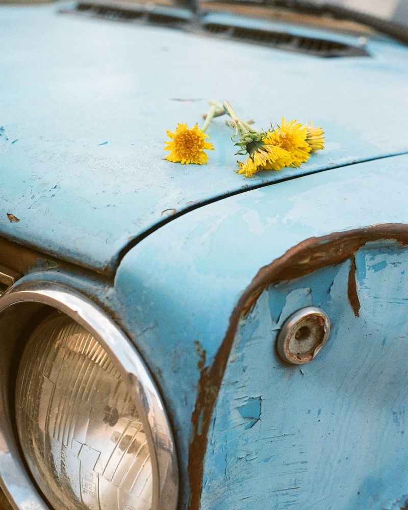 Photograph by Василий Селиванов