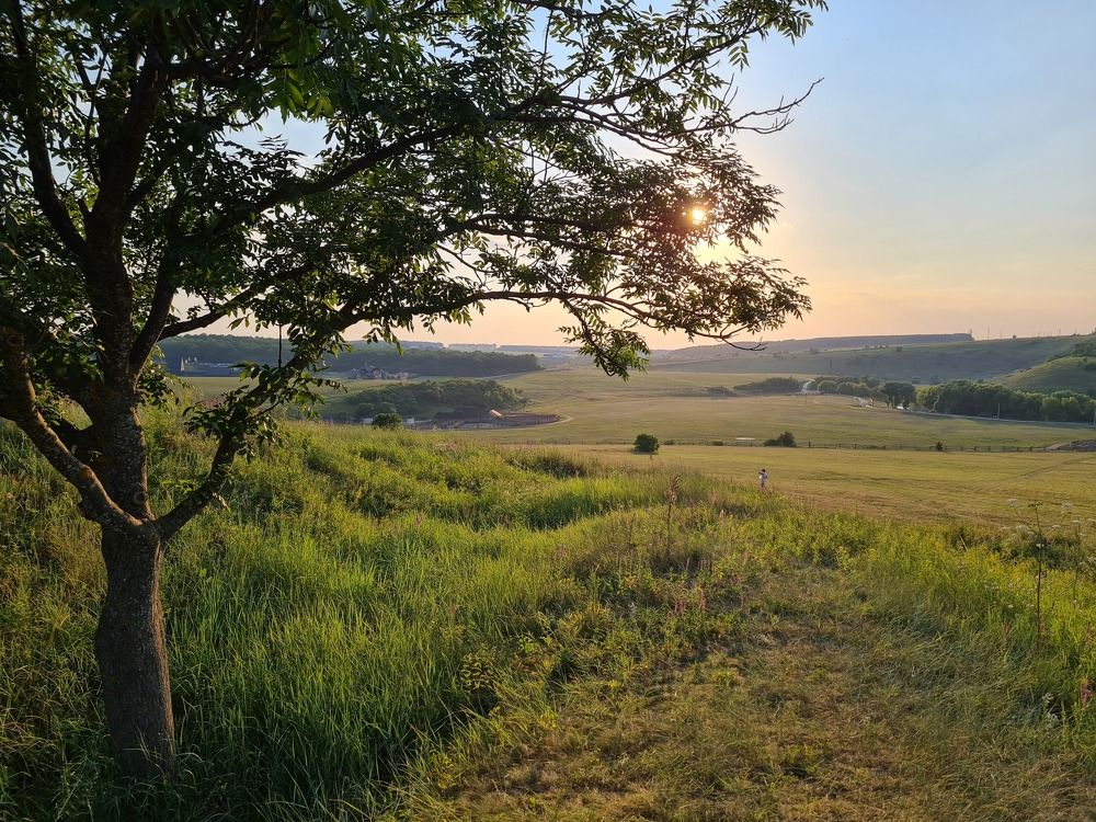 Photograph by Tatiana Denisova