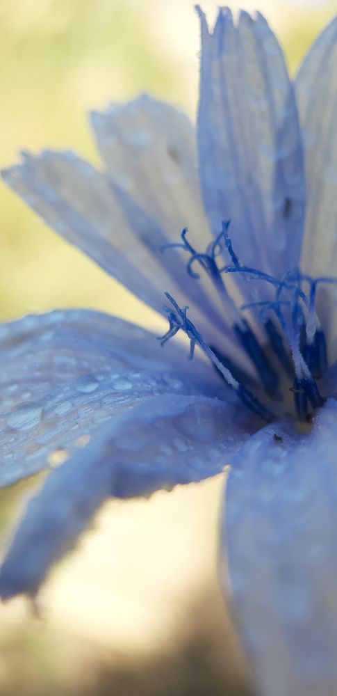 Фотография автора Nedai Eftekhari