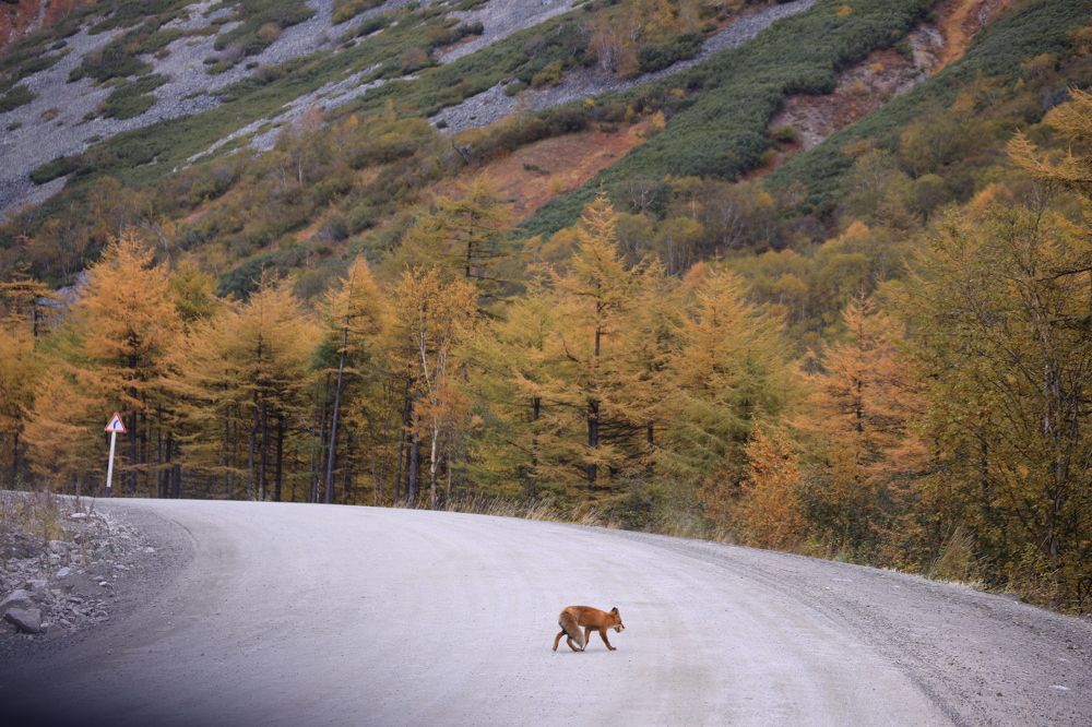 Photograph by Dmitriy Marchenko