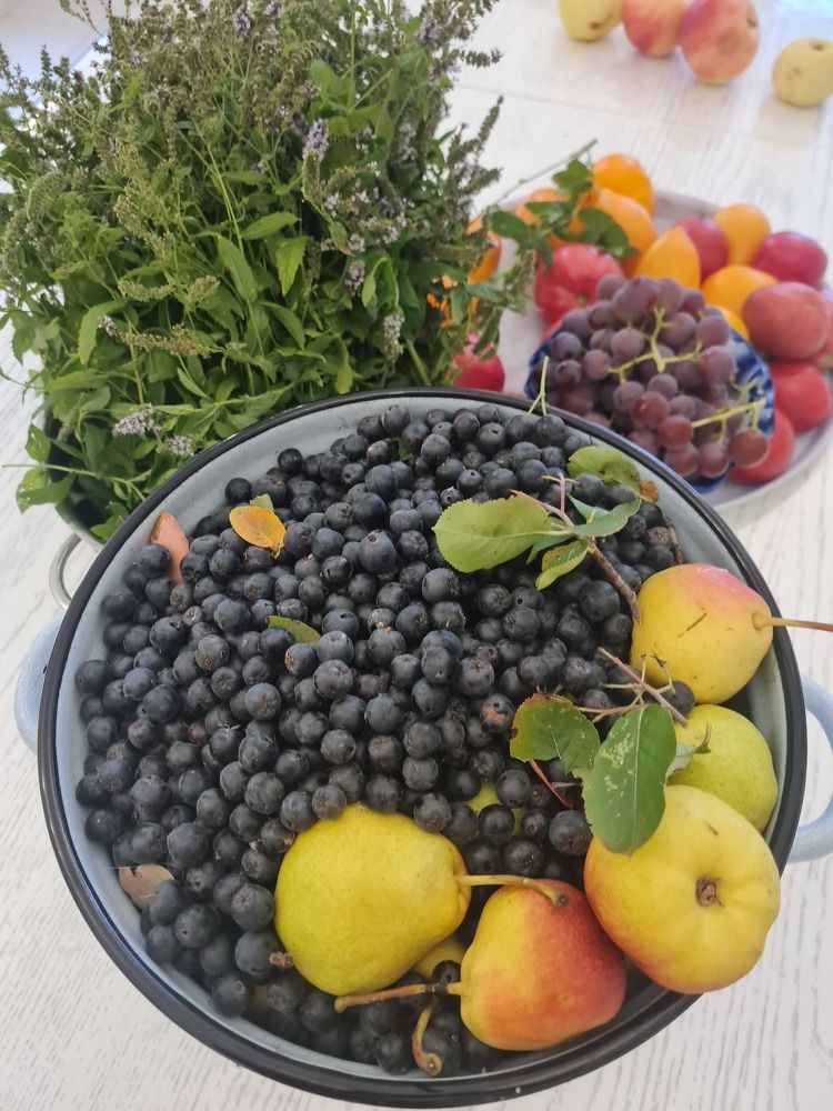 Photograph by Tatiana Denisova