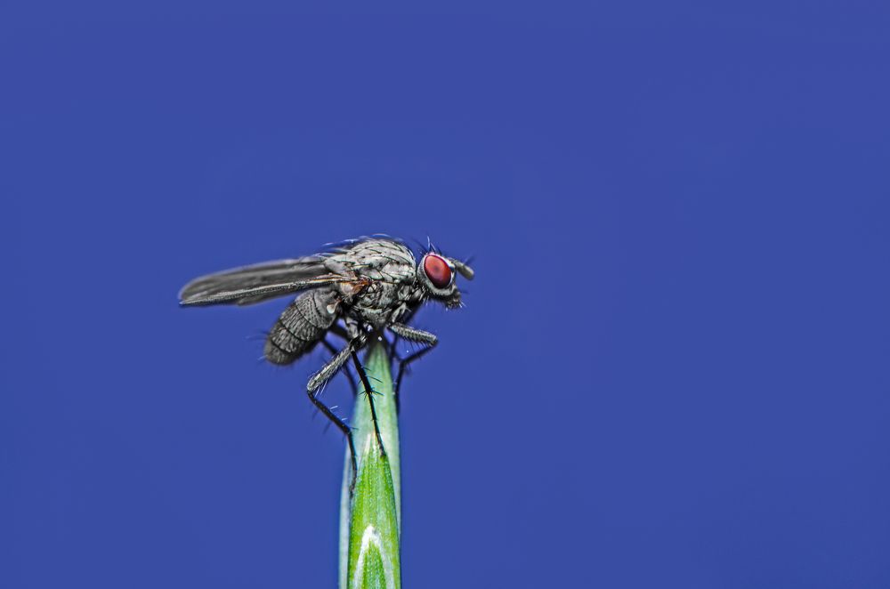 Photograph by Масленников Сергей