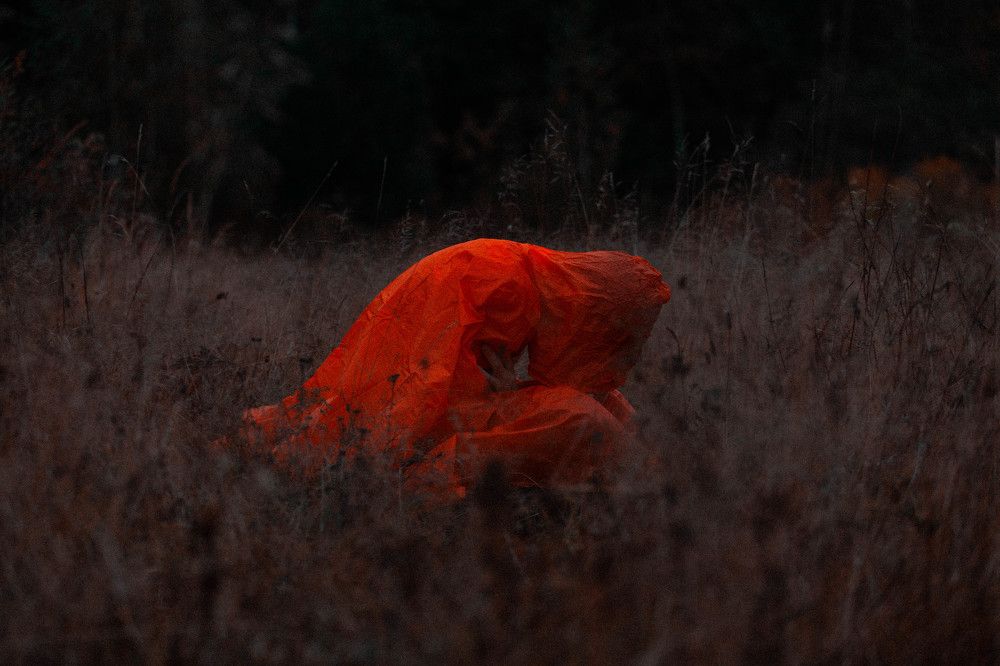 Photograph by Владимир Изотов