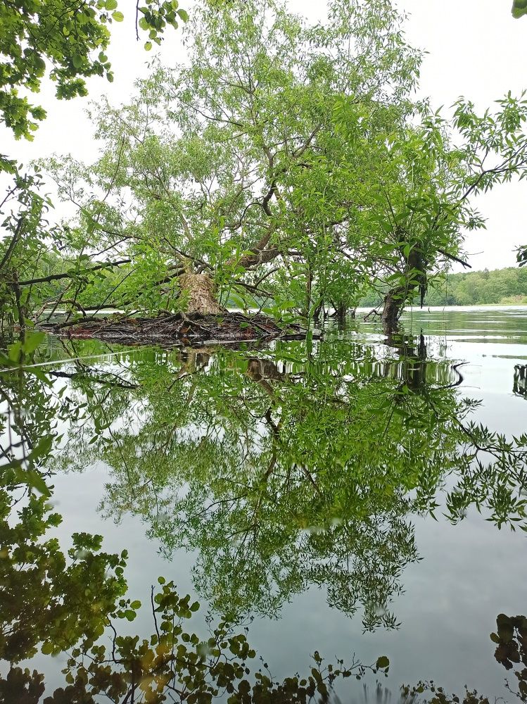 Photograph by Жигульский Сергей