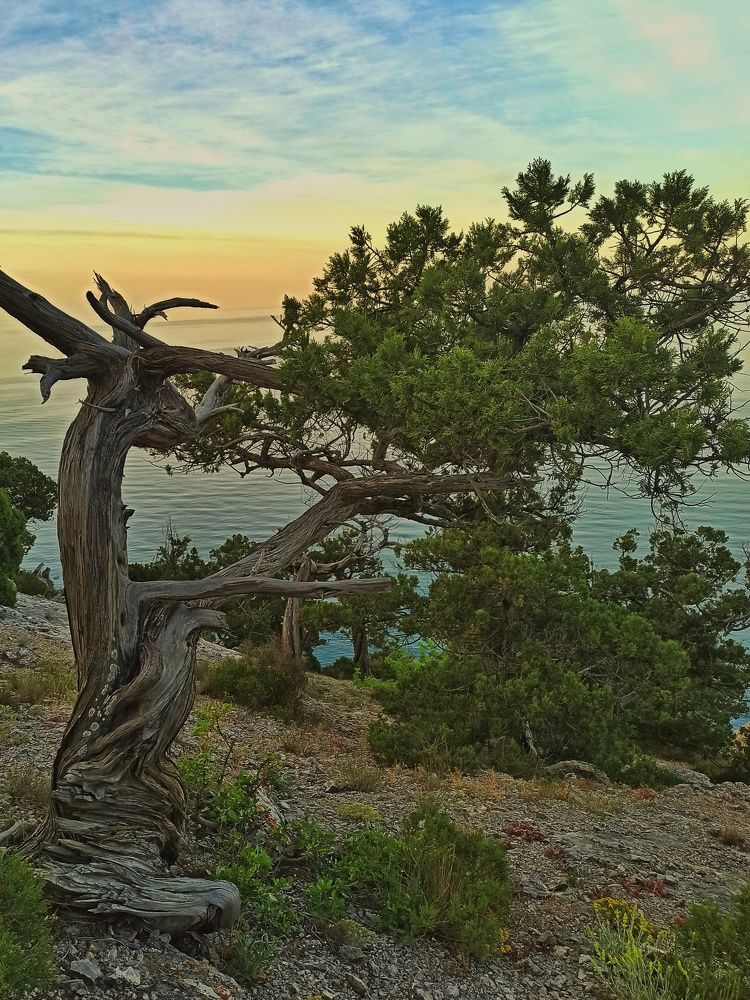 Photograph by Жигульский Сергей