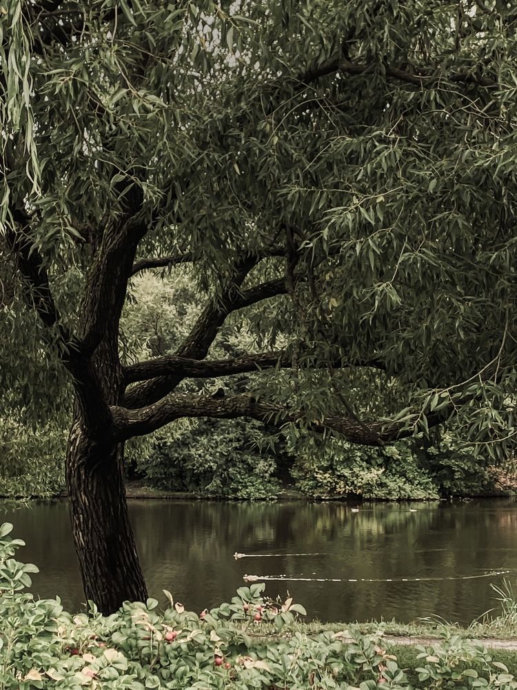 Photograph by Марина Танаева