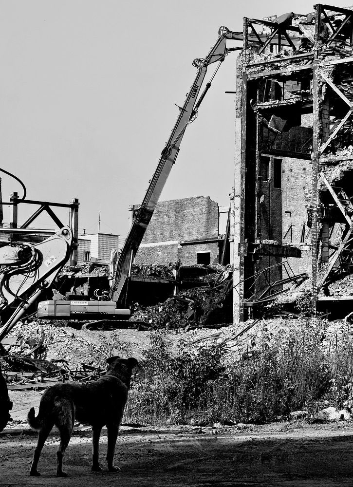 Photograph by Сергей Гребенников