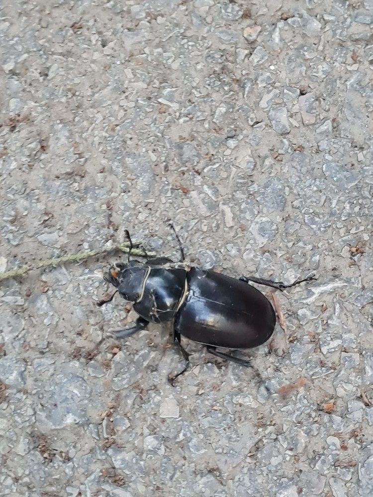 Photograph by Tatiana Denisova