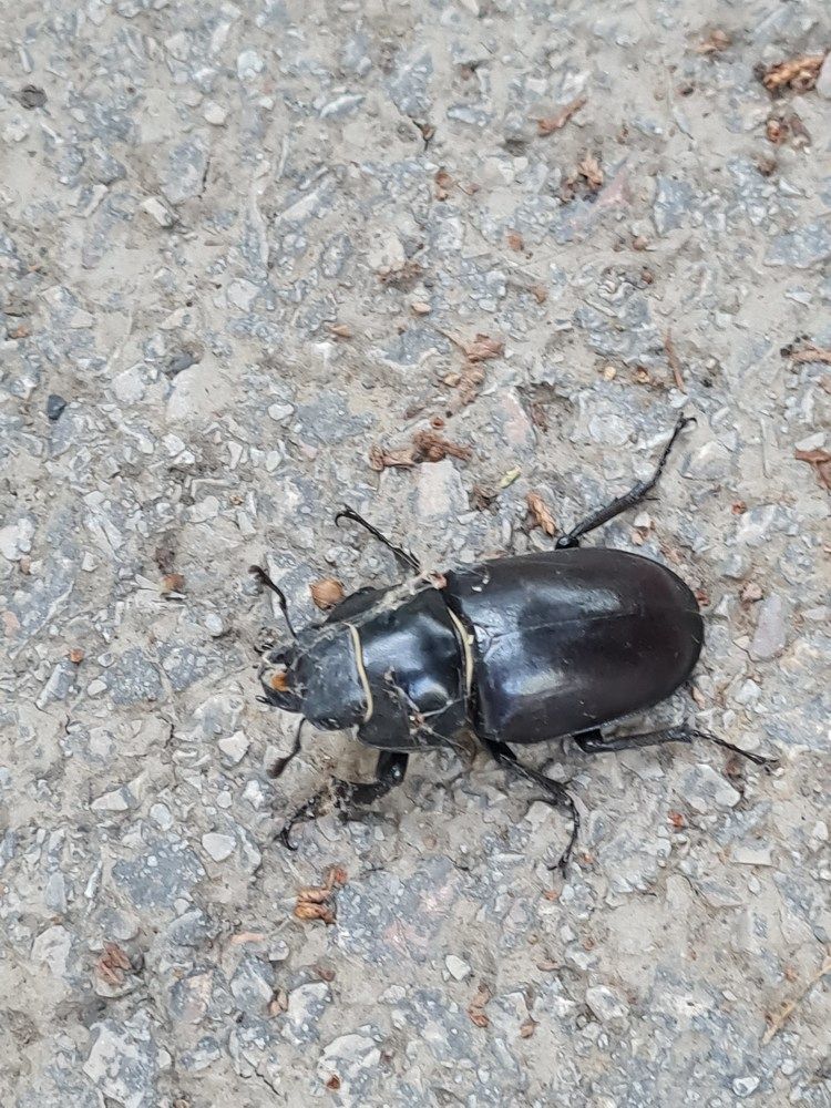 Photograph by Tatiana Denisova