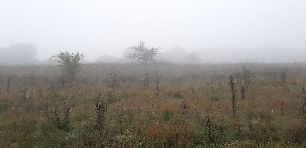 Photograph by Светлана Немонтова