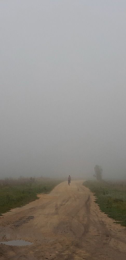 Photograph by Светлана Немонтова