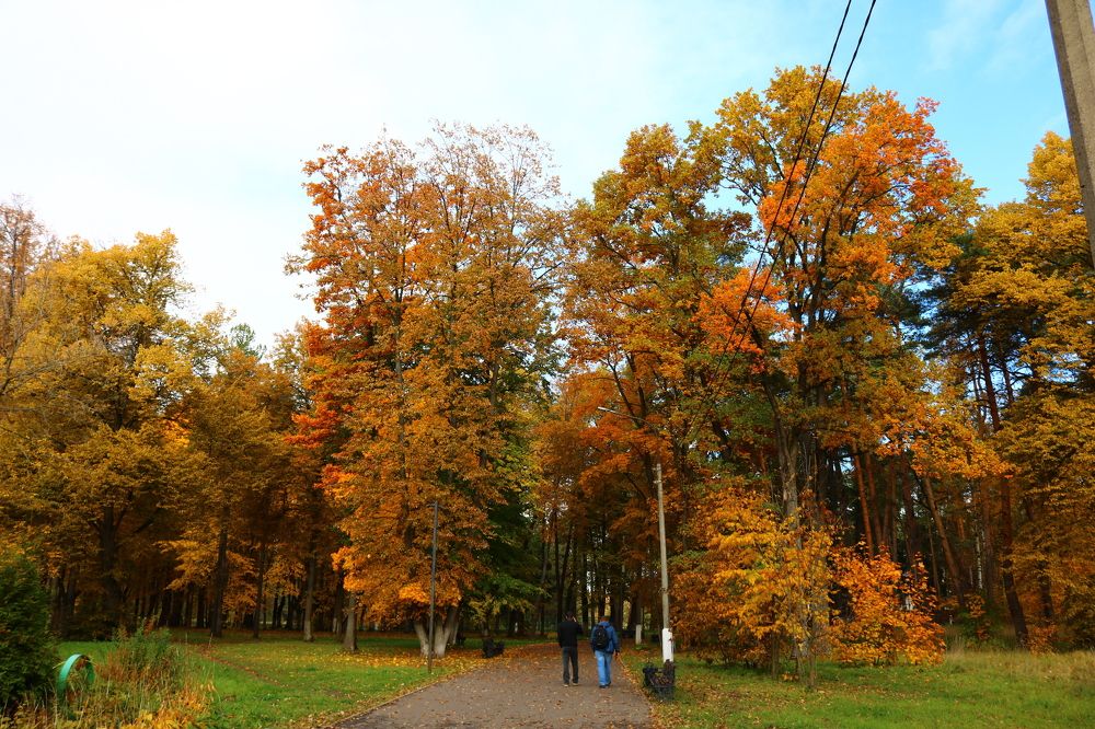 Photograph by Светлана Шуткова