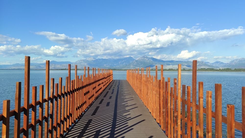Skadar lake, Albania