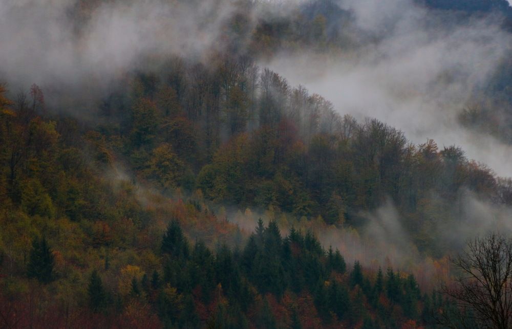 Misty Apuseni Mountains