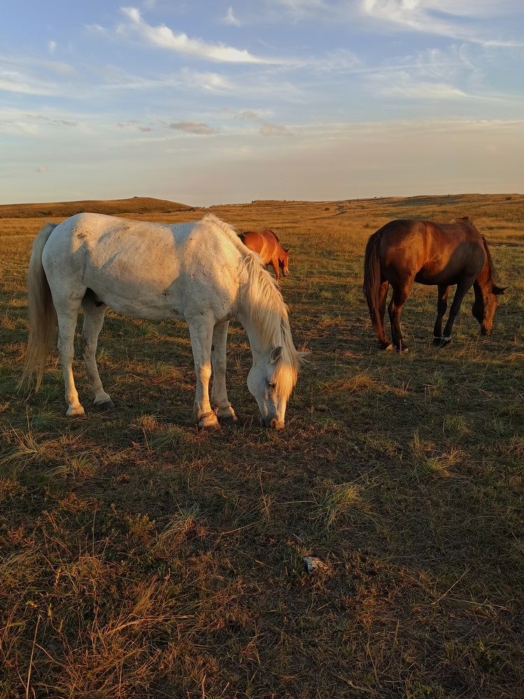 Photograph by Жигульский Сергей
