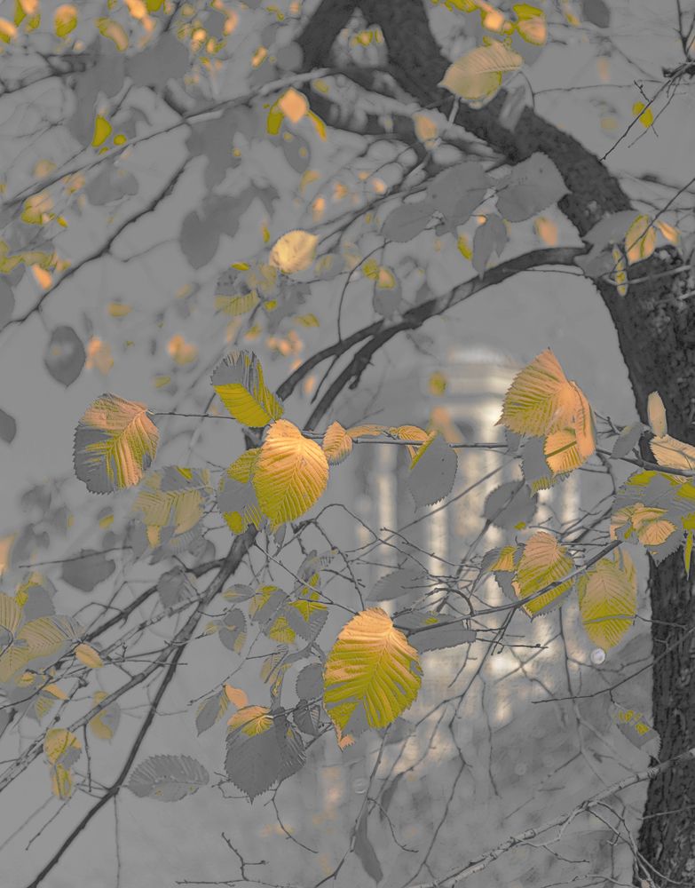 Photograph by T. Bondarenko