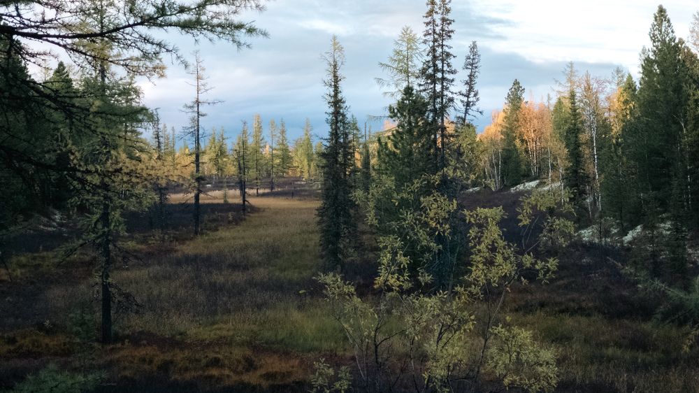 Photo #8077234