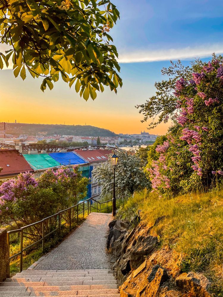 Фотография автора Pradeepta Kumar Ghose