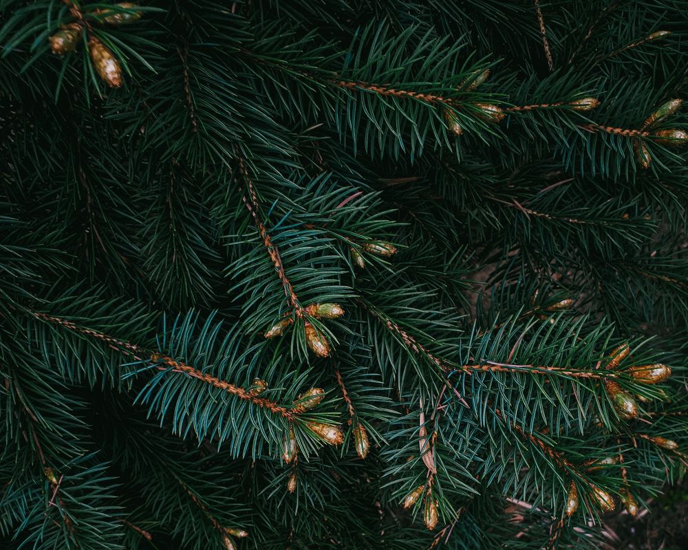 Photograph by Андрей Шелуков