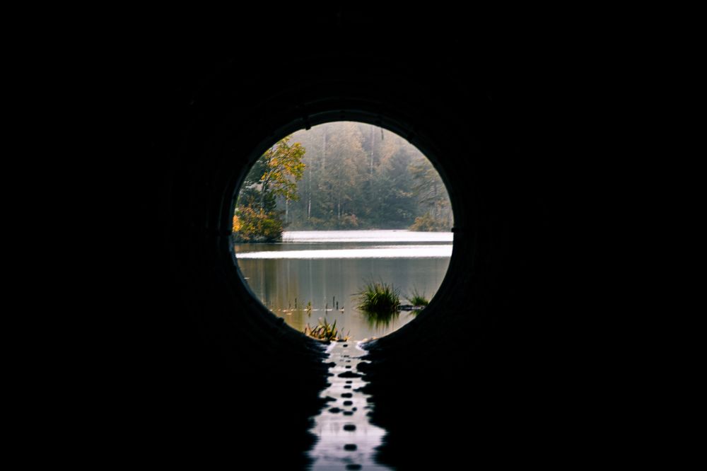 Photograph by Larionov