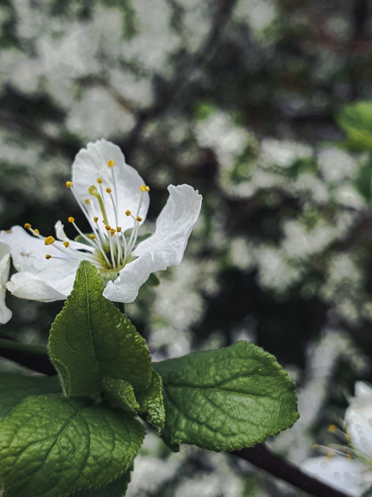 Photograph by Андрей Шелуков