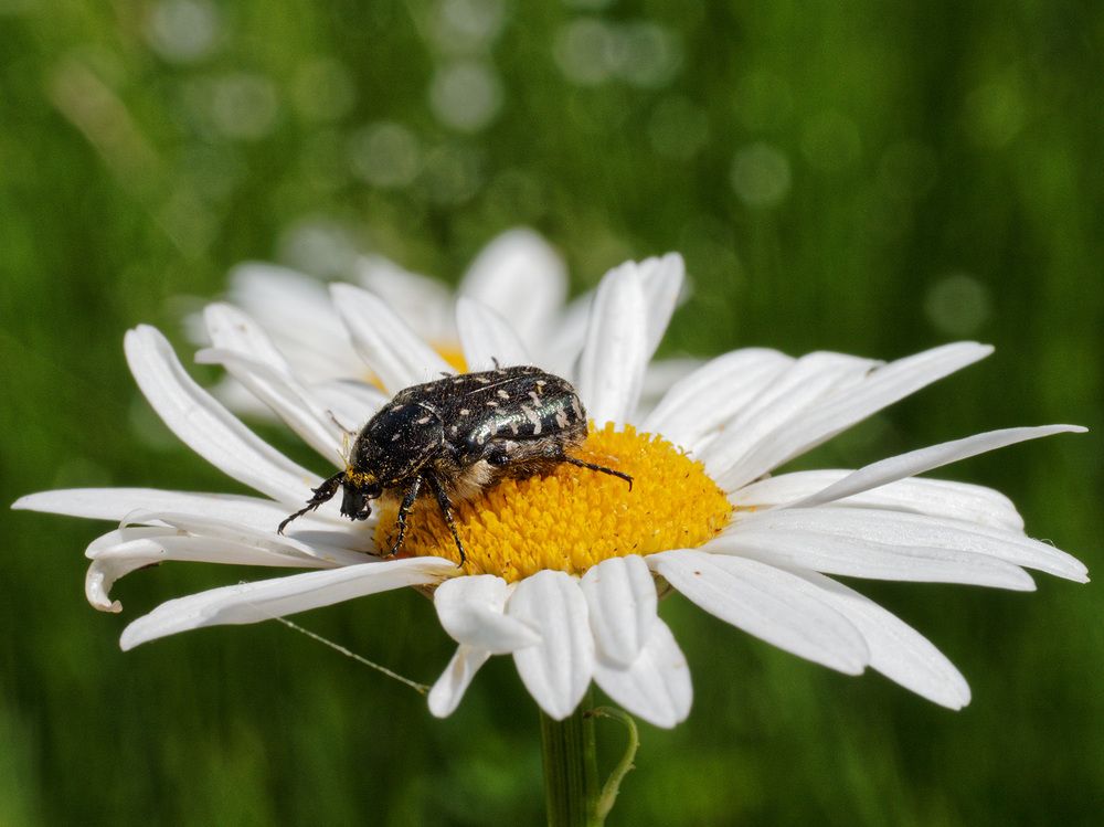 Photograph by Павел Кулинич