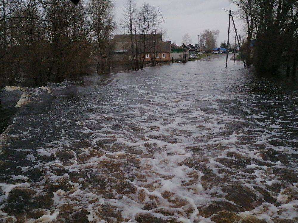 Photograph by Антон Чаузов