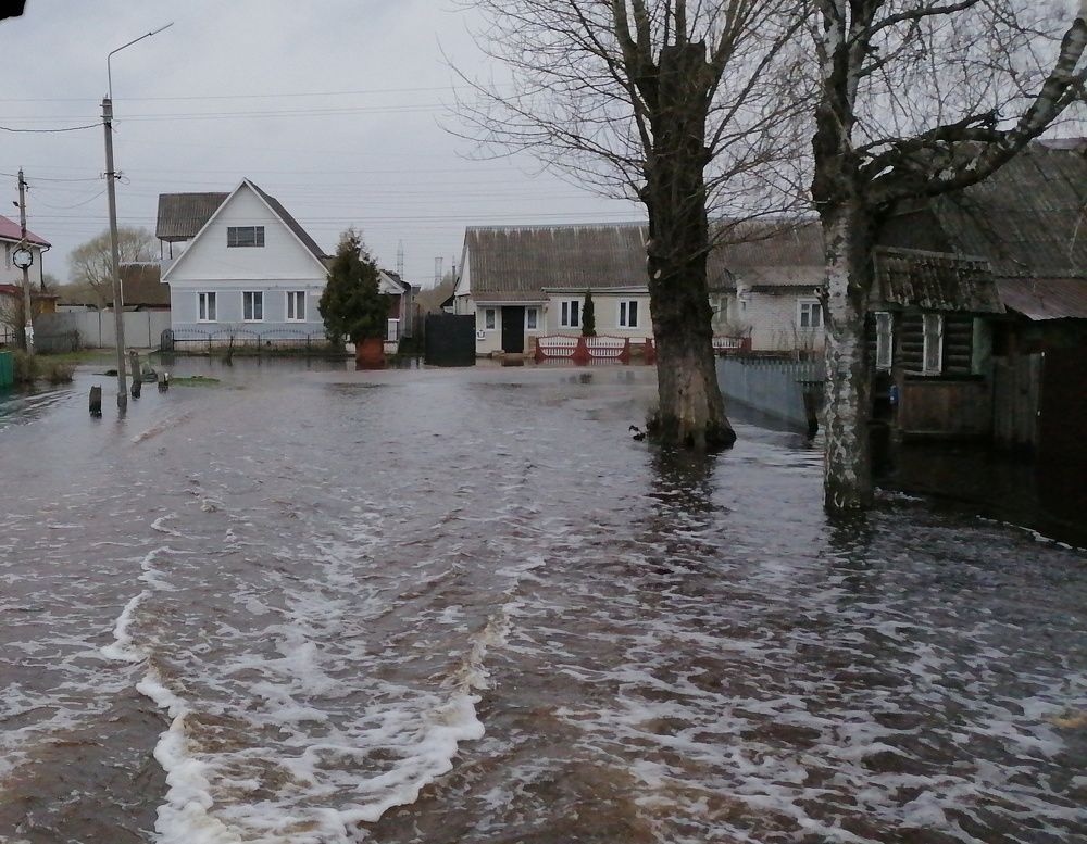 Photograph by Антон Чаузов