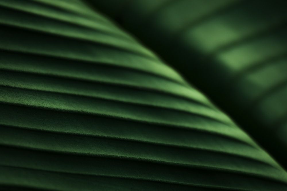 Photograph by Sergey Korshunov