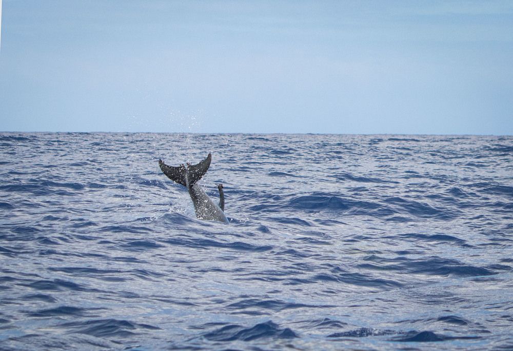 Photograph by Markéta Mastešová