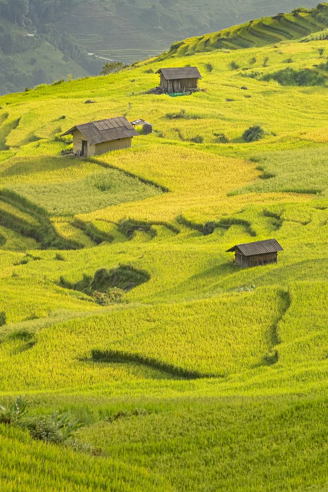 Photograph by Sắc Thừa