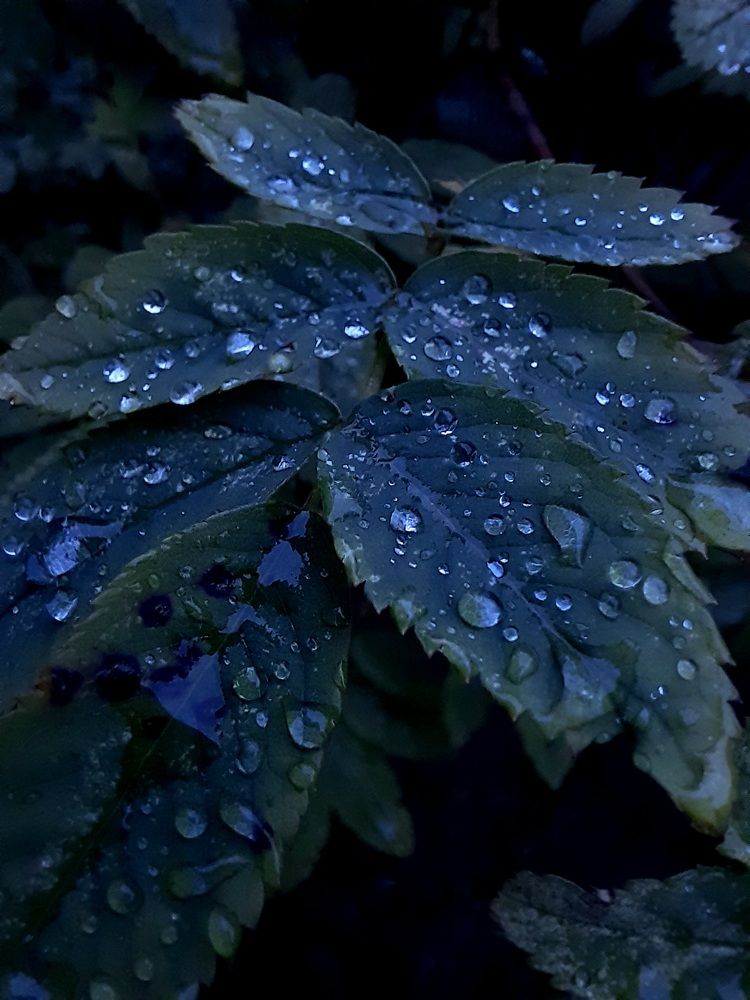 Photograph by Анастасия Алякина