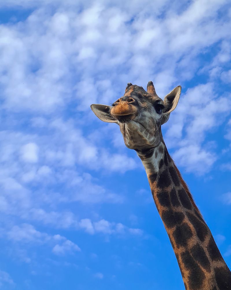 Photograph by Юлия Захарова