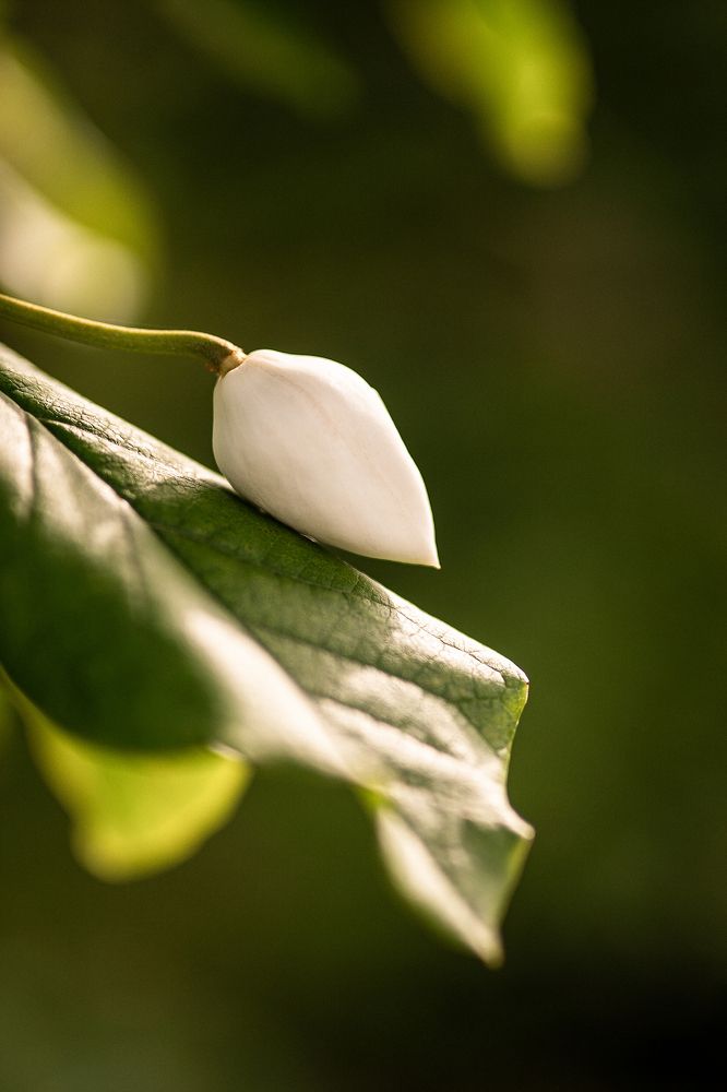 Photograph by Светлана Мухильченко