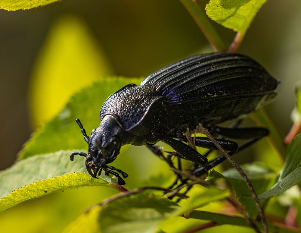 Photograph by Олег Башкуров