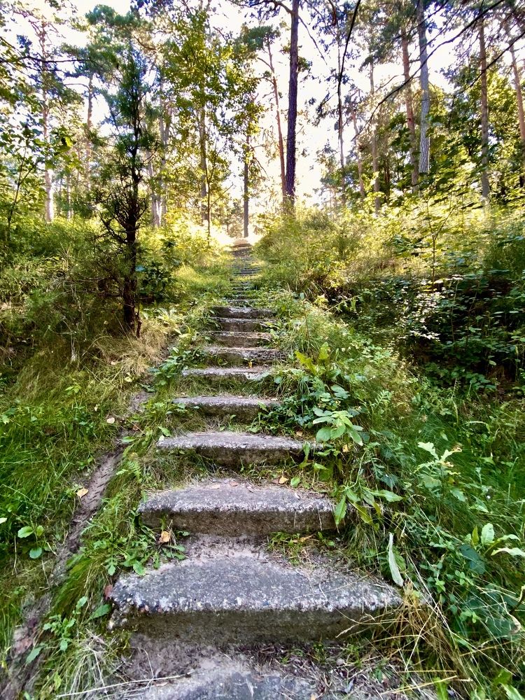 Photograph by Елена Белениник