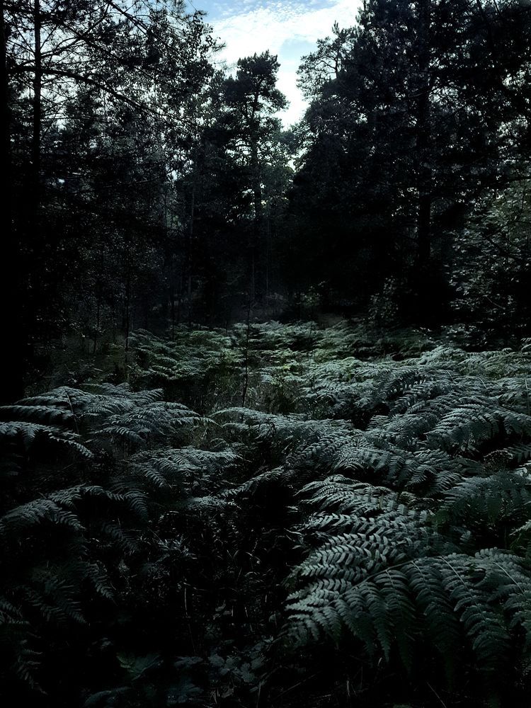 Photograph by Анастасия Алякина