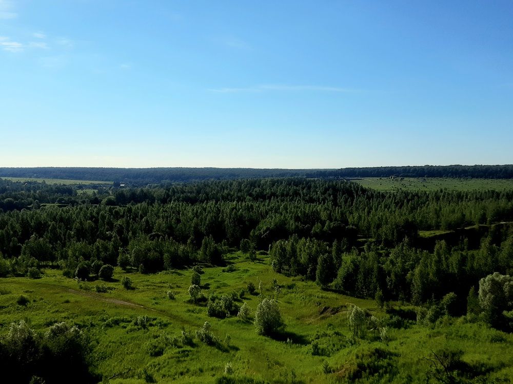 Photograph by Анастасия Алякина