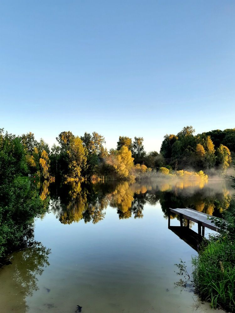 Photograph by Анастасия Алякина